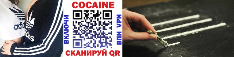 магазин продажи наркотиков  Рузаевка  Cocaine Fish Scale 