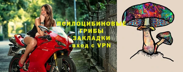 бошки Бугульма