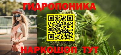 стаф Гусь-Хрустальный
