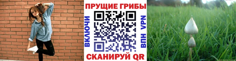 Псилоцибиновые грибы мицелий  цена наркотик  mega онион  Рузаевка 