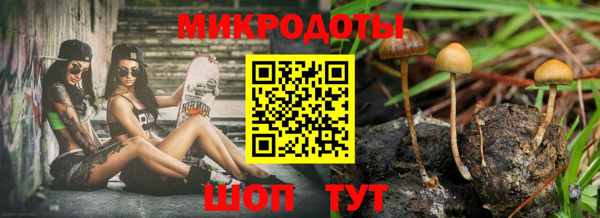 Псилоцибиновые грибы Psilocybe  Вход с VPN  Рузаевка 